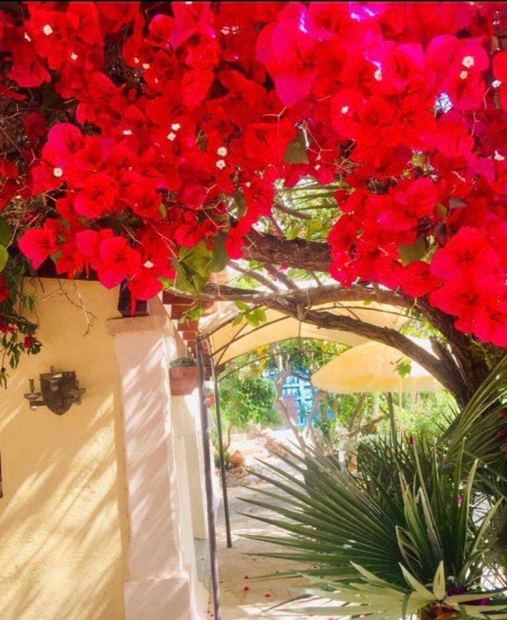 Vila Casita Limon Andraitx Exteriér fotografie