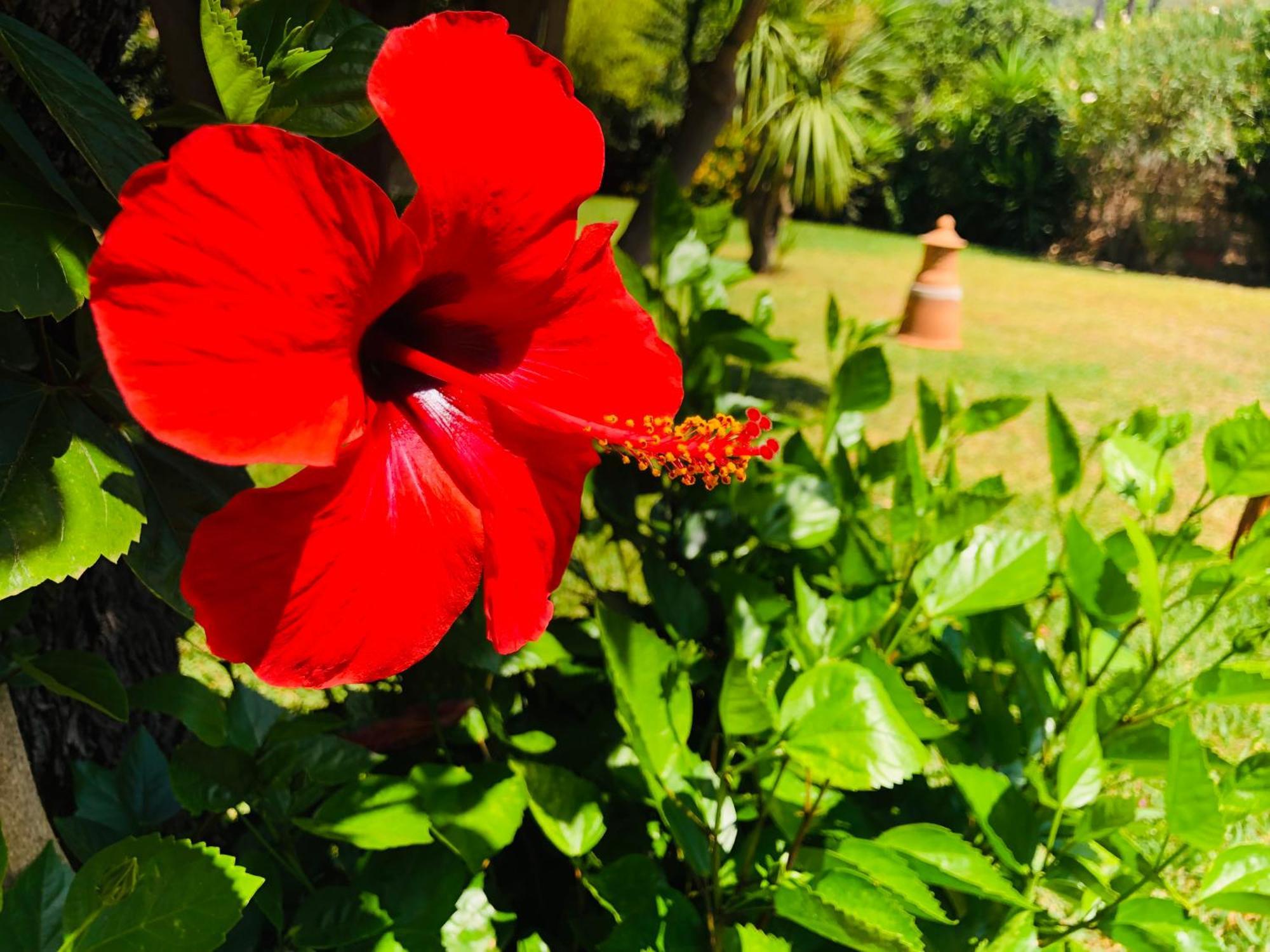 Vila Casita Limon Andraitx Exteriér fotografie