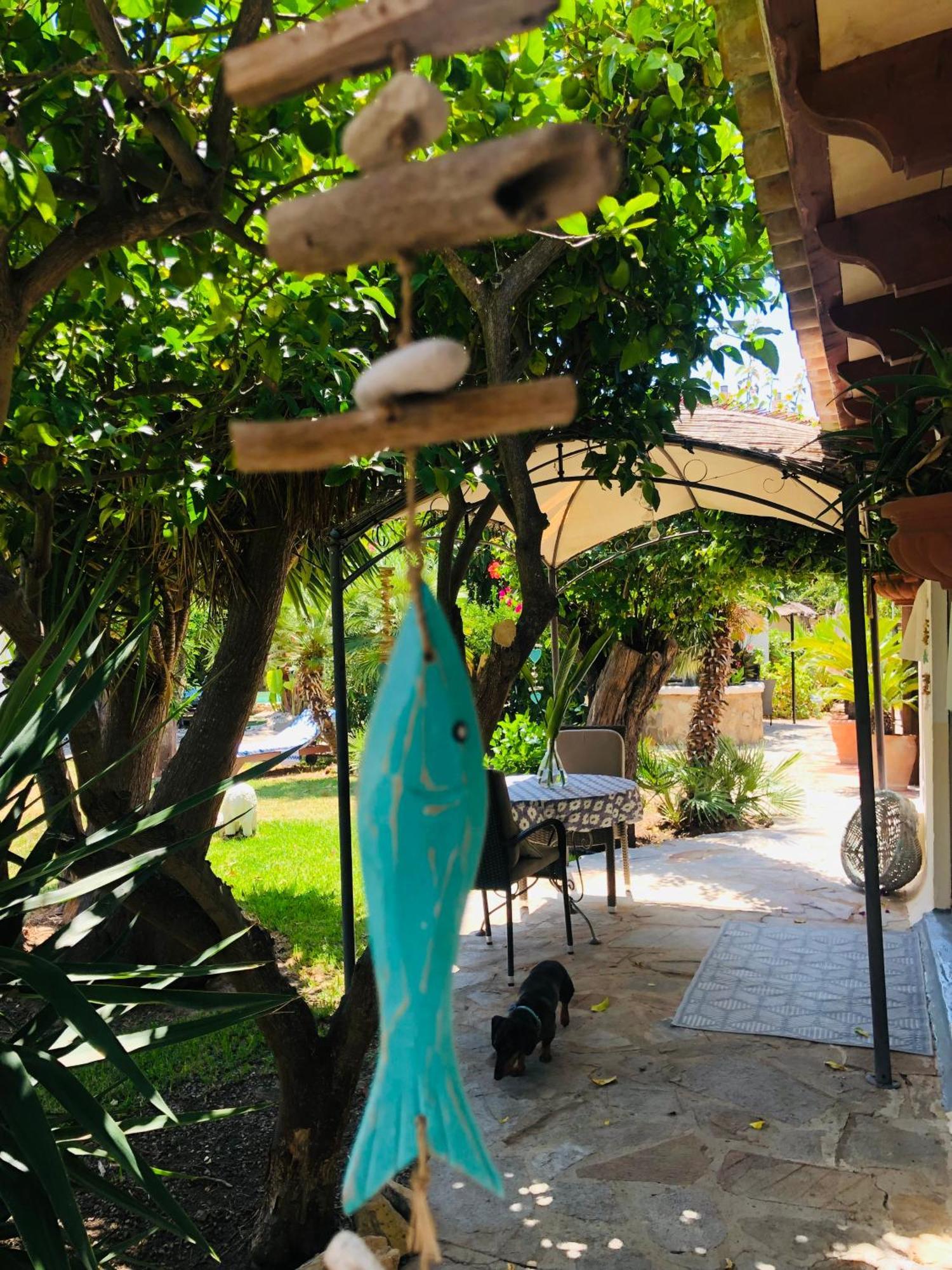 Vila Casita Limon Andraitx Exteriér fotografie