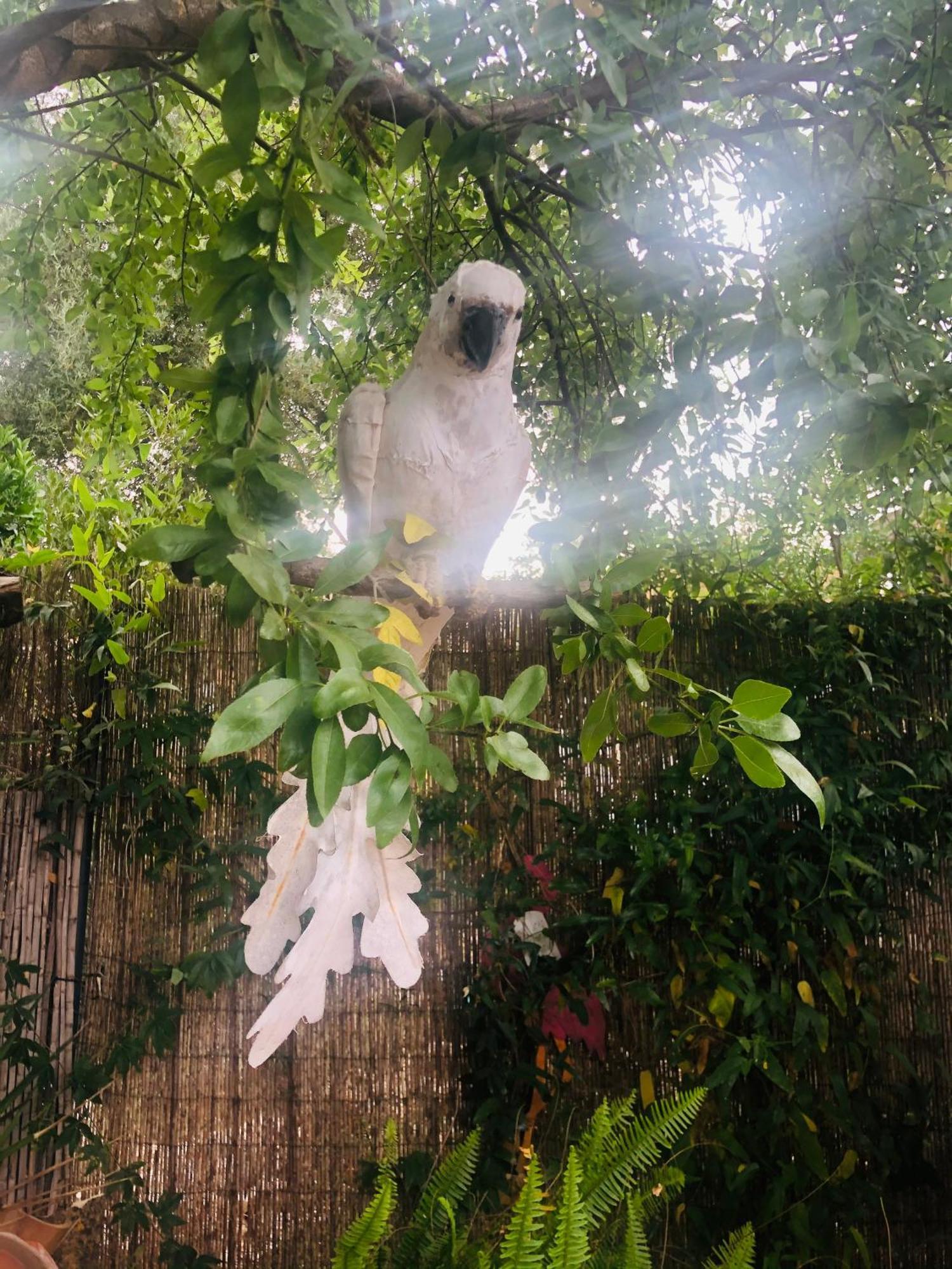 Vila Casita Limon Andraitx Exteriér fotografie