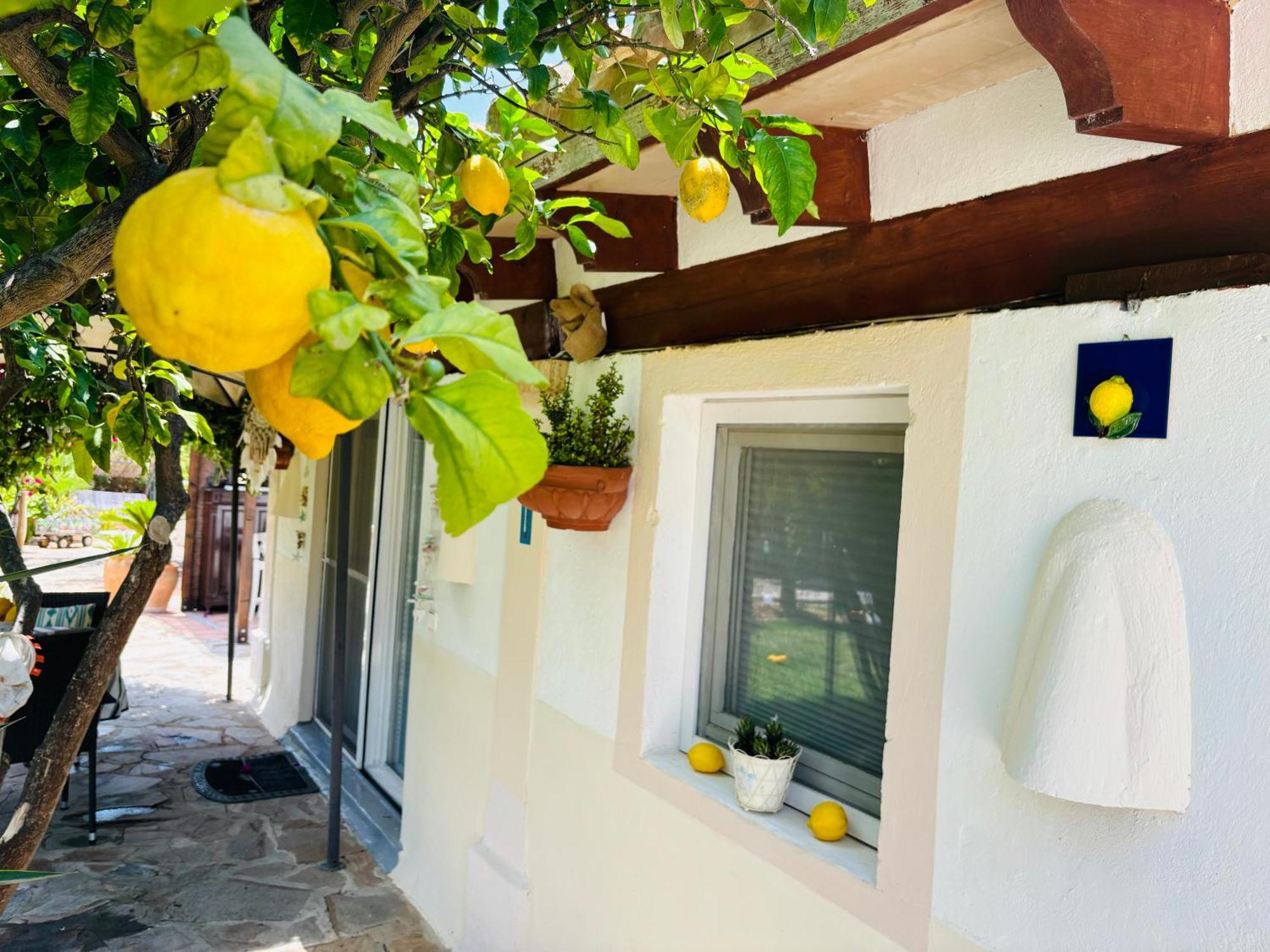 Vila Casita Limon Andraitx Exteriér fotografie
