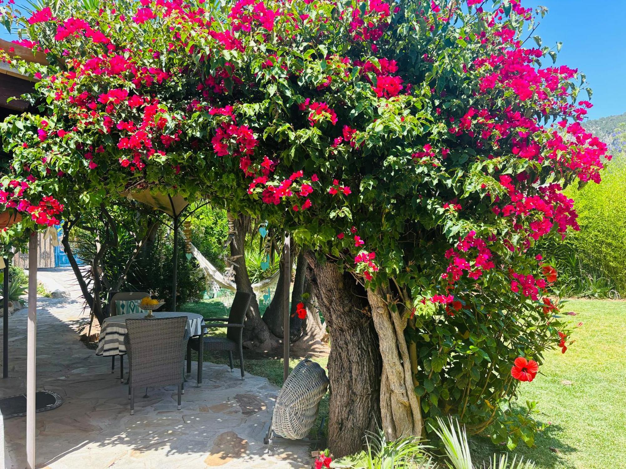 Vila Casita Limon Andraitx Exteriér fotografie